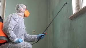 Biohazard Mold Removal in Alvord, TX